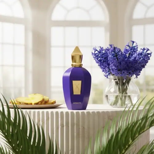 عطر زرجوف اکسنتو | Xerjoff Accento